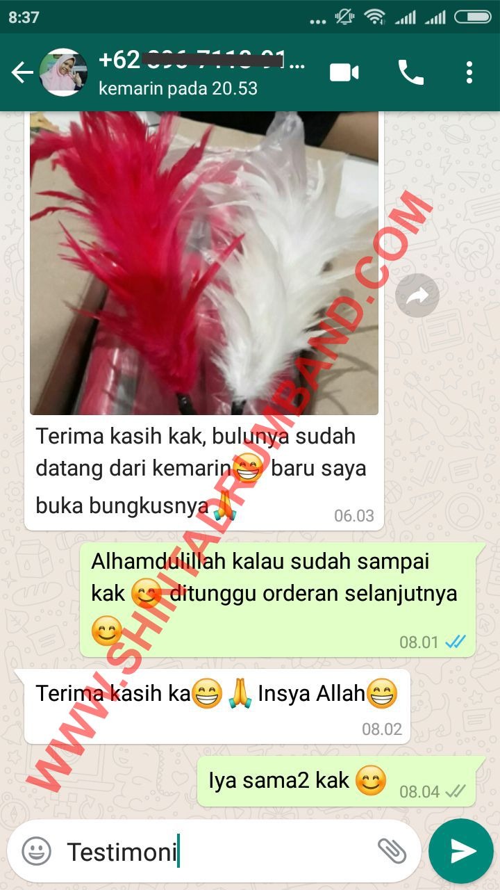 jogja testimoni 17