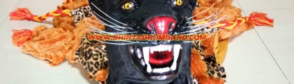 Jual Maskot Drum Band Custom