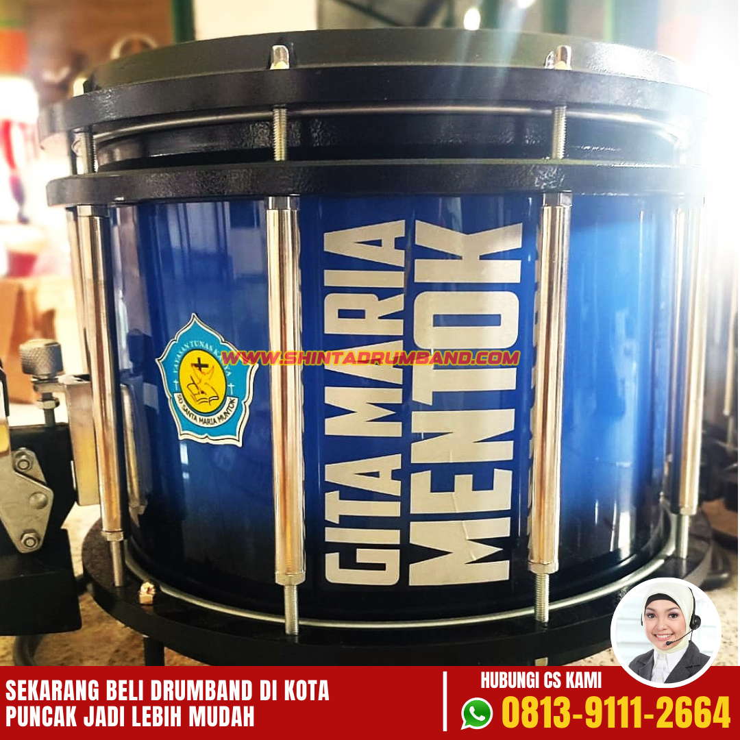 Jual Drum Band di Kota Puncak-5