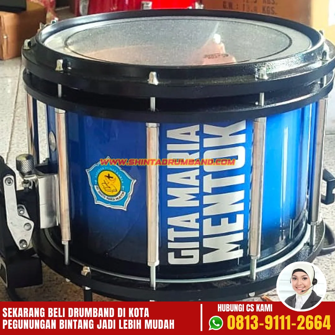 Jual Drum Band di Pegunungan Bintang-7