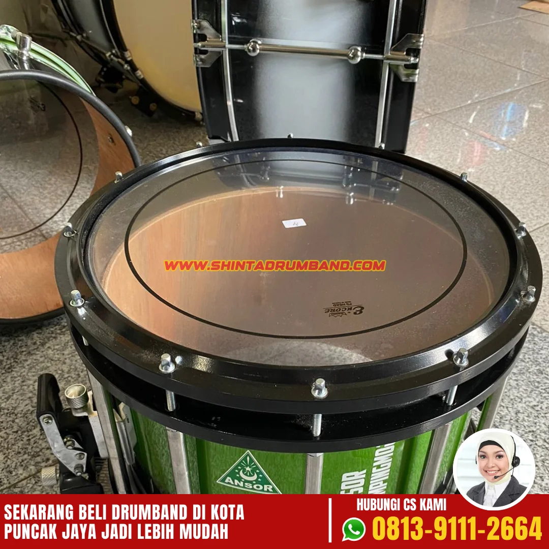 Jual Drum Band Di Puncak Jaya-7