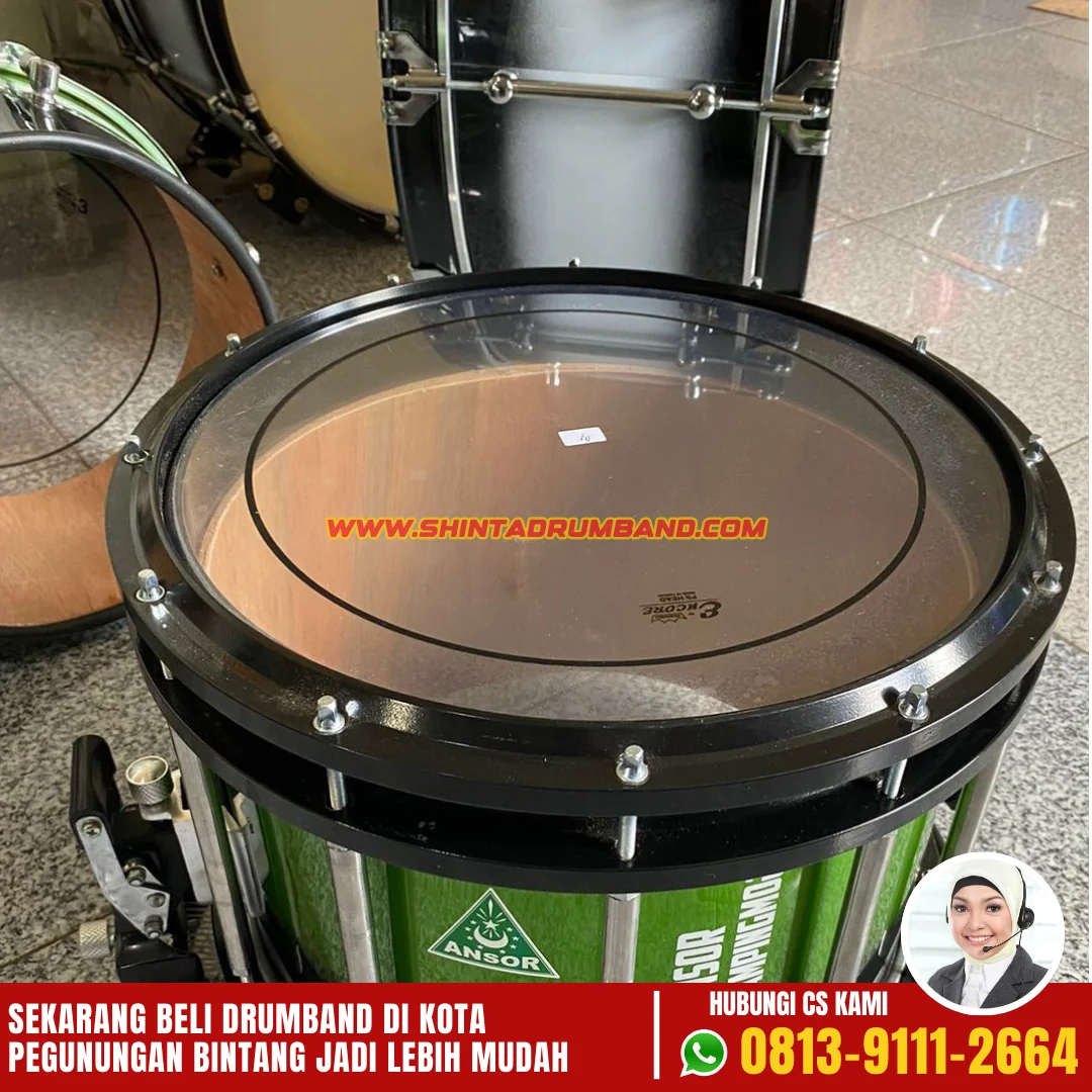 Jual Drum Band di Pegunungan Bintang-6